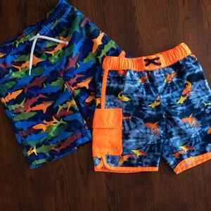 Lands End Toddler Boy Swim Trunk Set